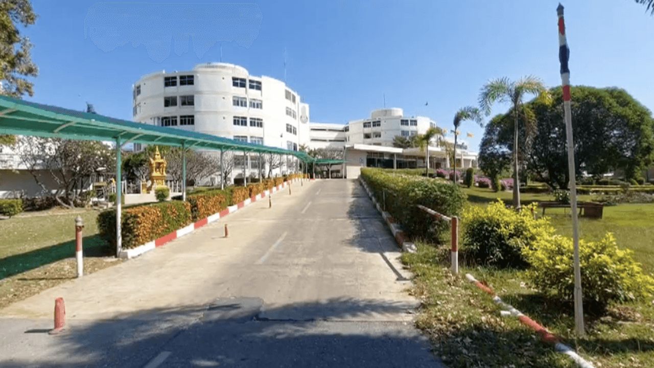 医生确认“士兵东京”已安全，大动脉修复手术成功