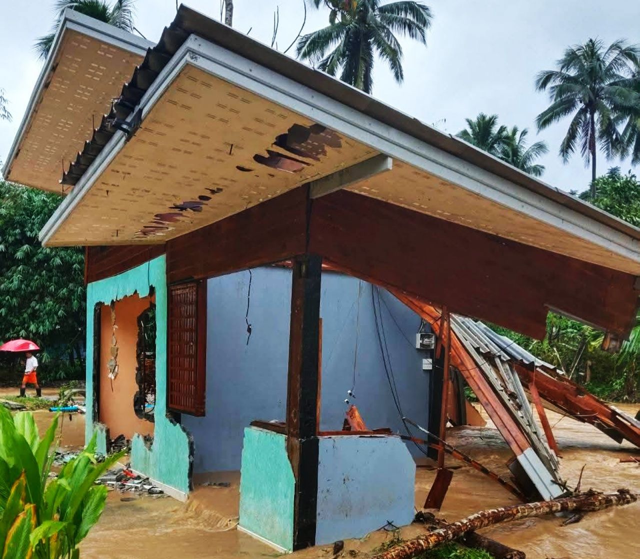 巴吞省洪水高涨，紧急疏散500多头猪至安全地点，村民房屋被山洪冲毁