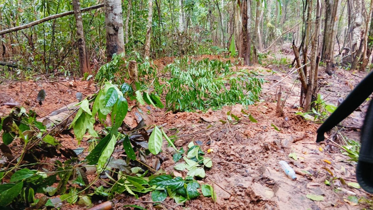 “普米塔姆” 确认泰国-柬埔寨撤兵，感谢双方坚持和平原则