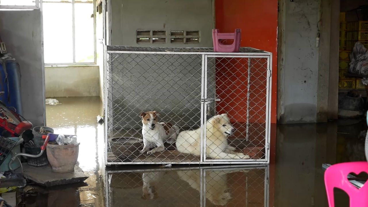 “查伽派大坝”调整水量排放，警告下游做好准备