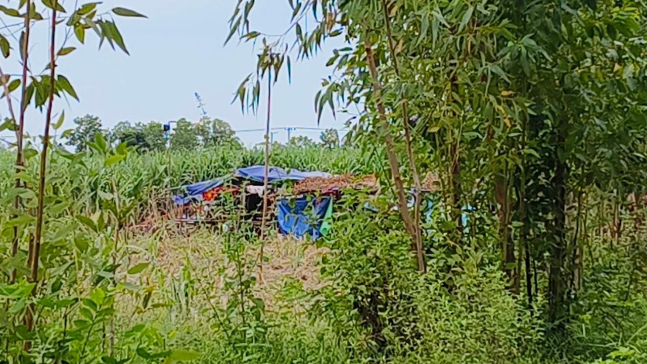 “บ้านหนองจาน-หนองหญ้าแก้ว” 静中有动 柬埔寨持续施压
