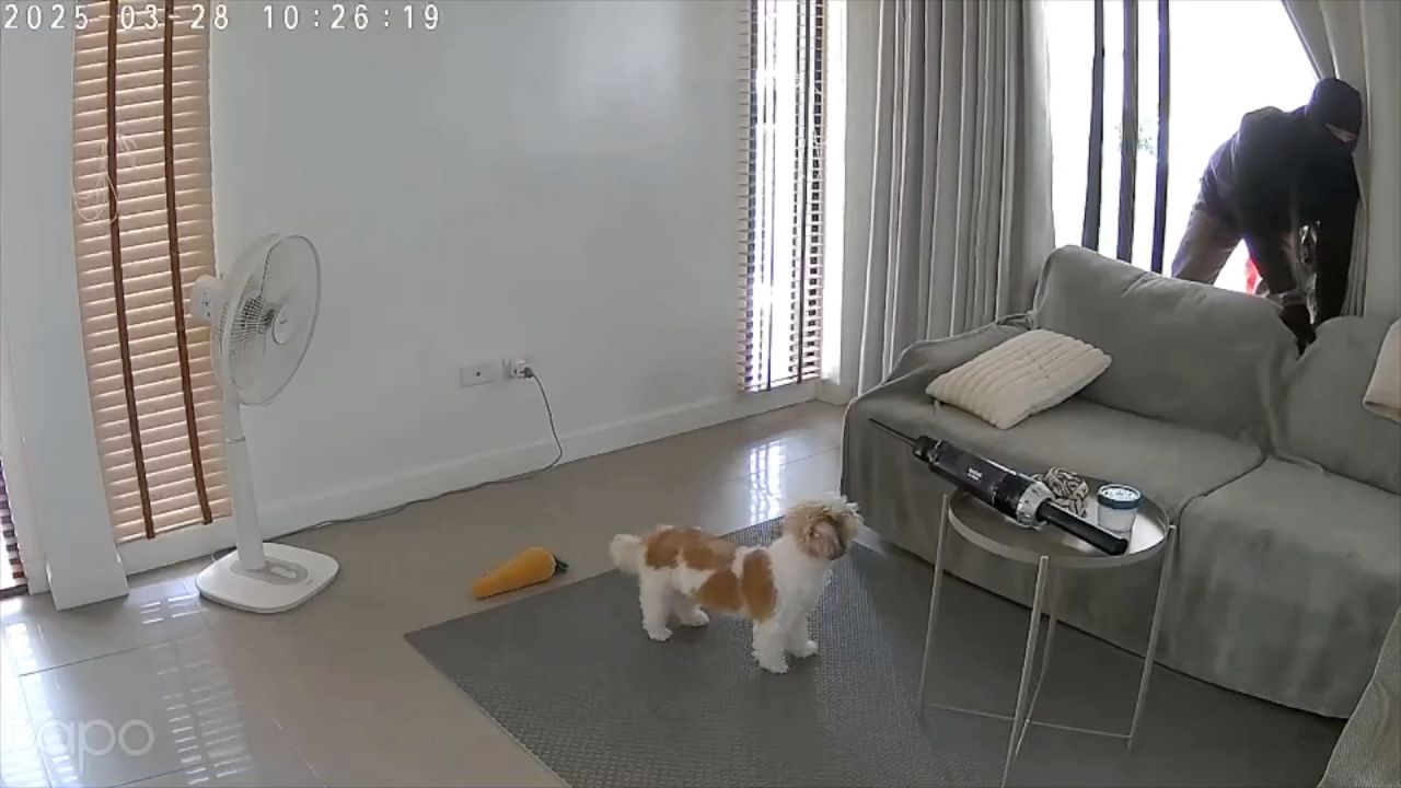 大胆的窃贼闯入警察局长家中,盗走贵重物品但最终被捕