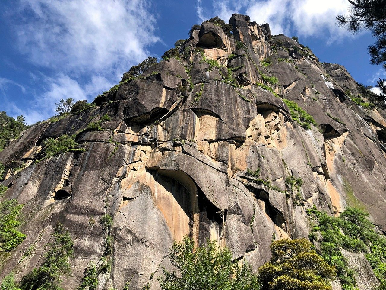探索“西藏”的世界屋脊之地：心灵与文化的旅程