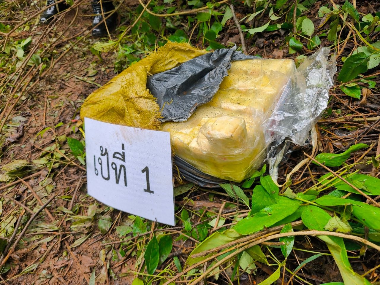 枪声震动丛林，Fang 区发生军队与毒贩对峙，射杀3人
