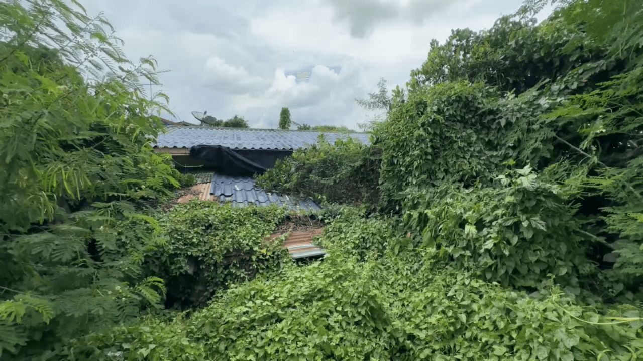 找到了“阿隆格特大师”在孔敬府的家 村民称呼他为乔治大师，每年返回为生日做慈善