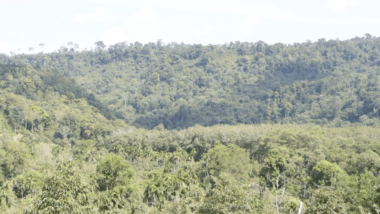 达叻边境学校准备应对紧急情况 清理“避难坑” 宣布部分关闭