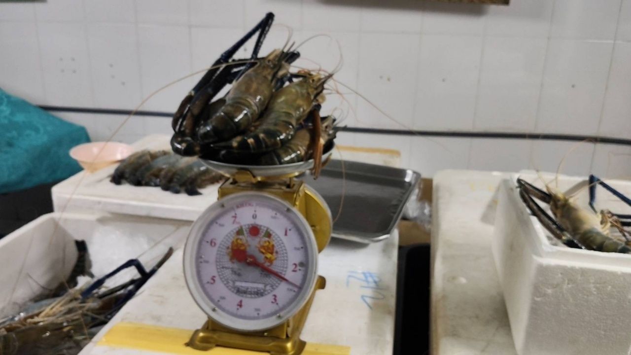 听取两方面意见：盐焗虾五只两千泰铢的争议，餐厅坚持菜单上有标价