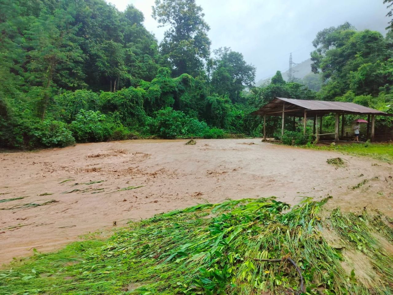 清晨暴雨侵袭湄宏顺，山洪爆发多地被淹，关闭通往帕东佛寺的道路