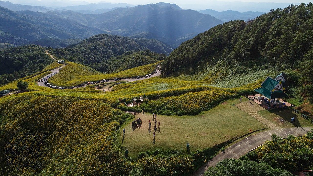 探索浪漫路线,驾车迎寒风,游览湄宏顺巨型野花田