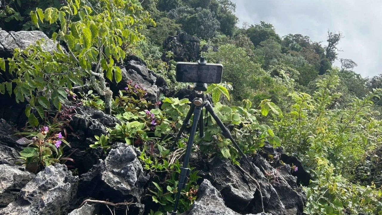 切勿进入“Doi Pha Hung”禁地 国家公园警告：危险且影响生态