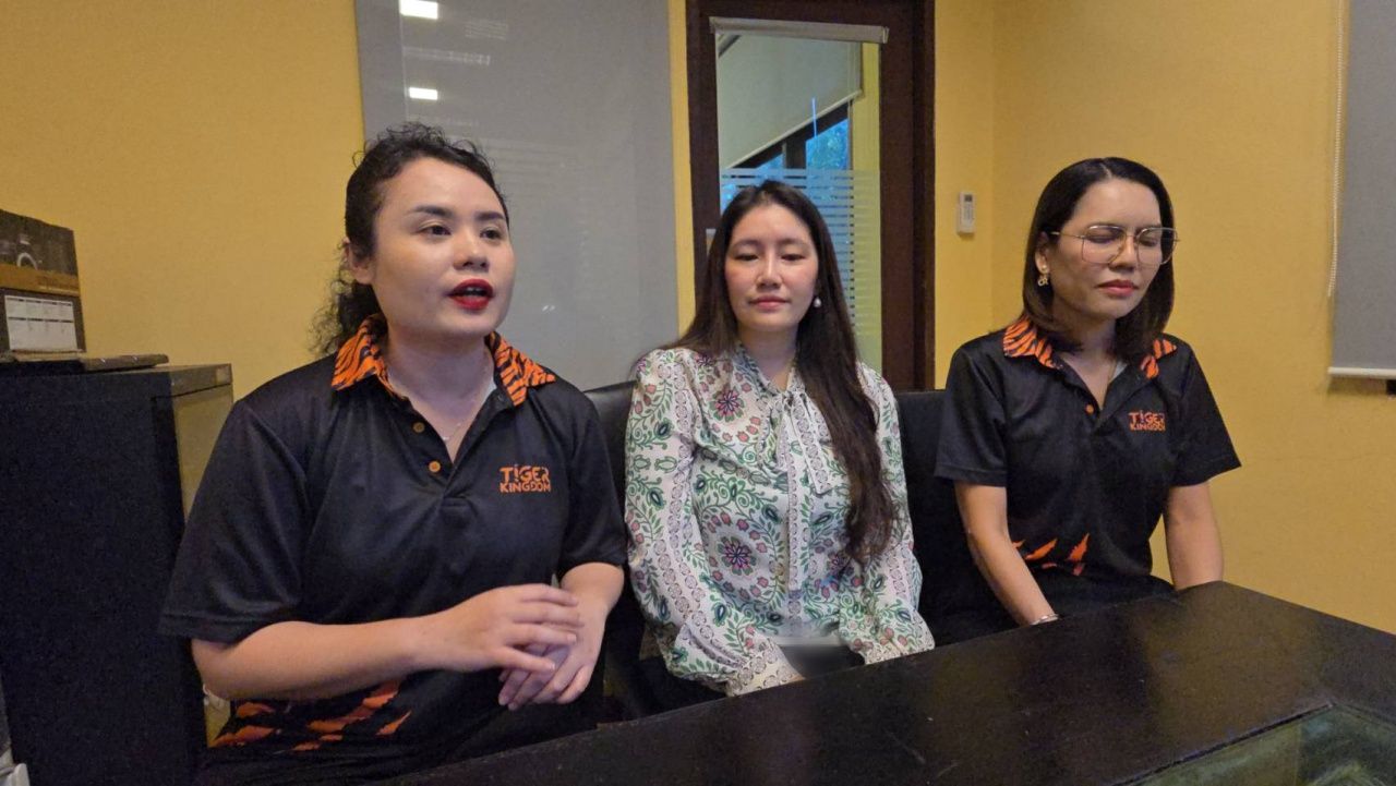 虎园管理者回应印度游客被虎攻击视频，确认未发生在普吉岛