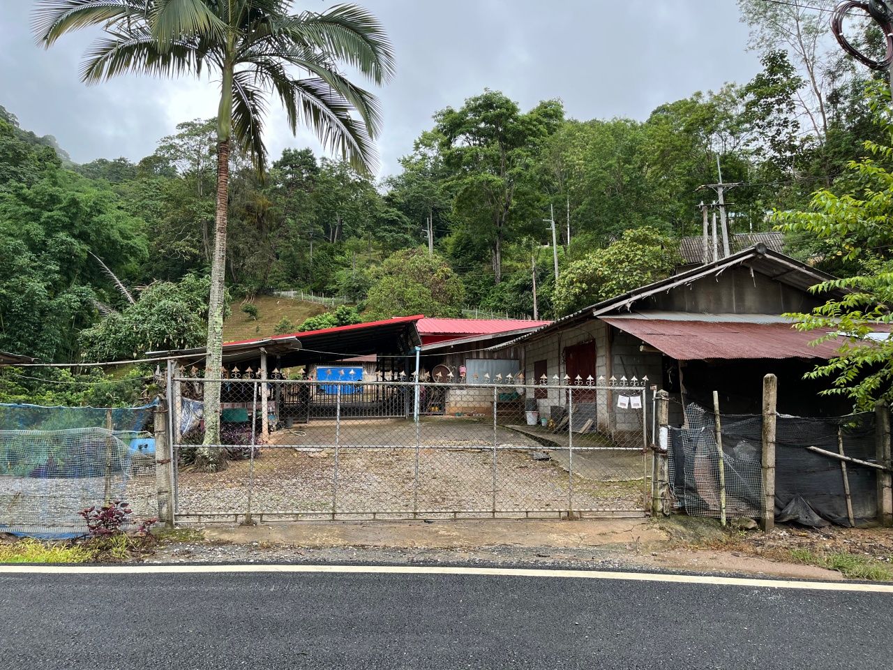 追捕“宋波”，杀害妻子和弟弟，村民恐慌几乎无人留守