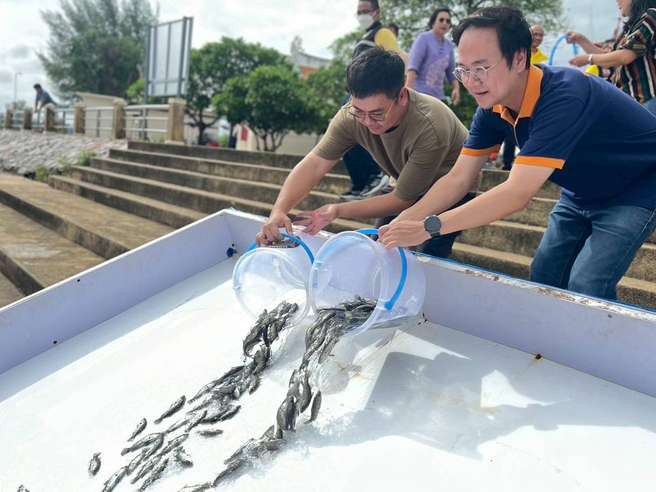 推出七项措施控制黑喉罗非鱼,两省不再出现疫情