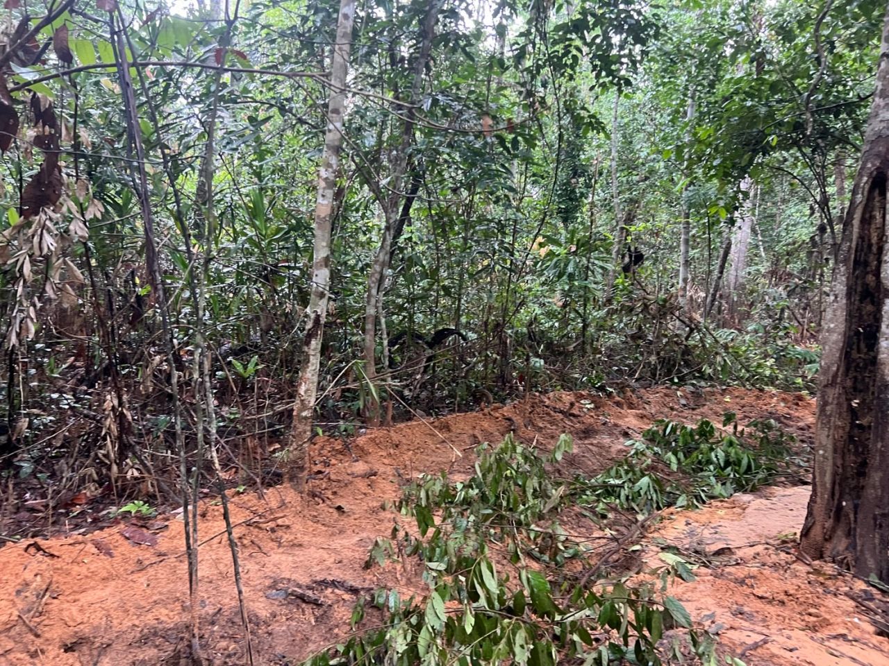 “普米塔姆” 确认泰国-柬埔寨撤兵，感谢双方坚持和平原则