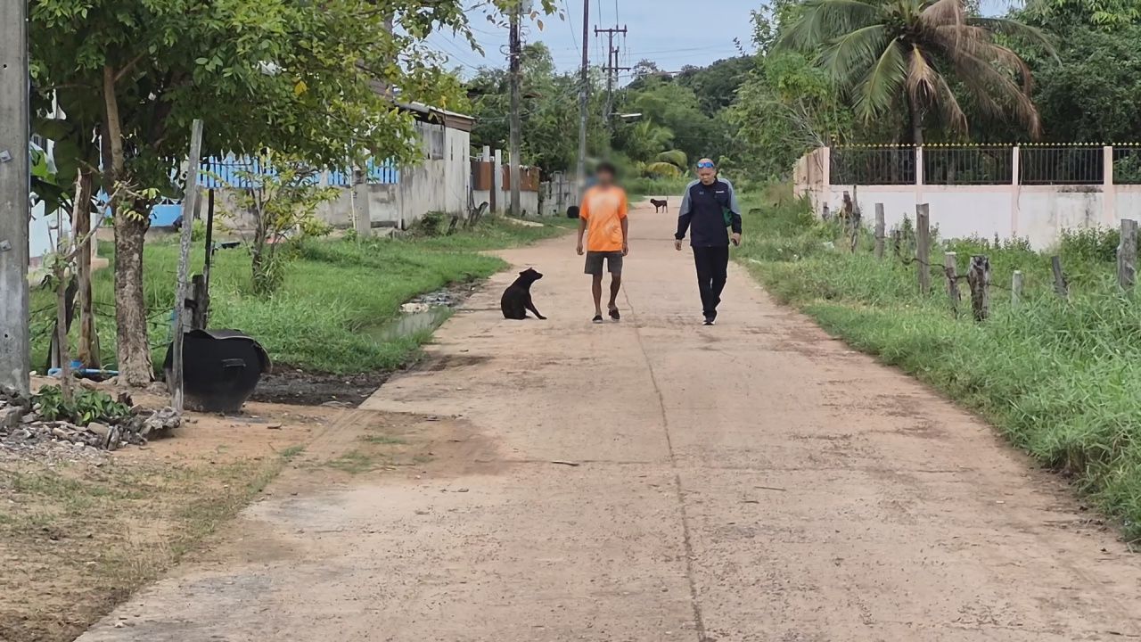 官员调查49岁男子活剥犬肉并发誓不再食用