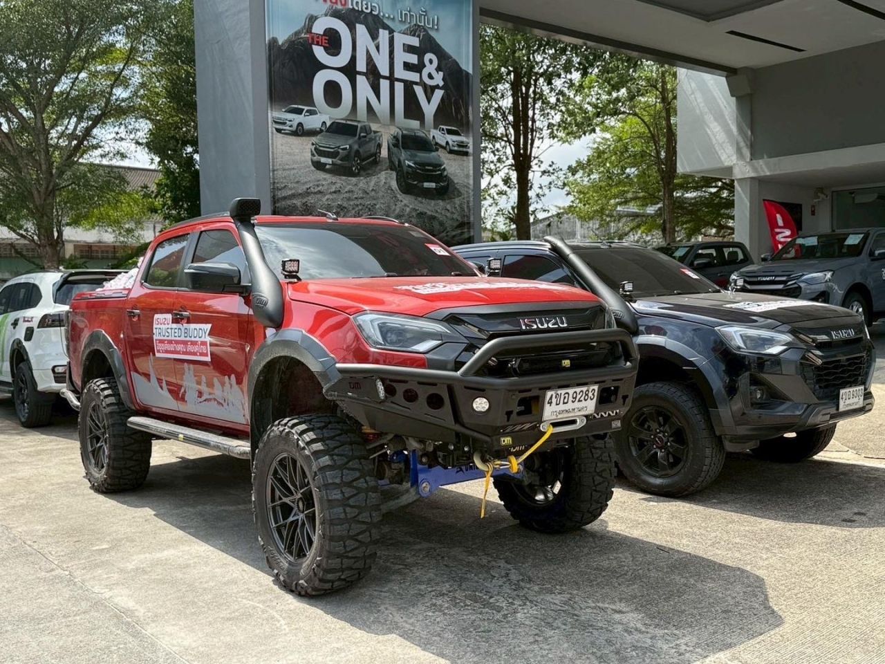 汽车赛场：TOAVH举办慈善跑筹集资金为犀鸟建造假巢