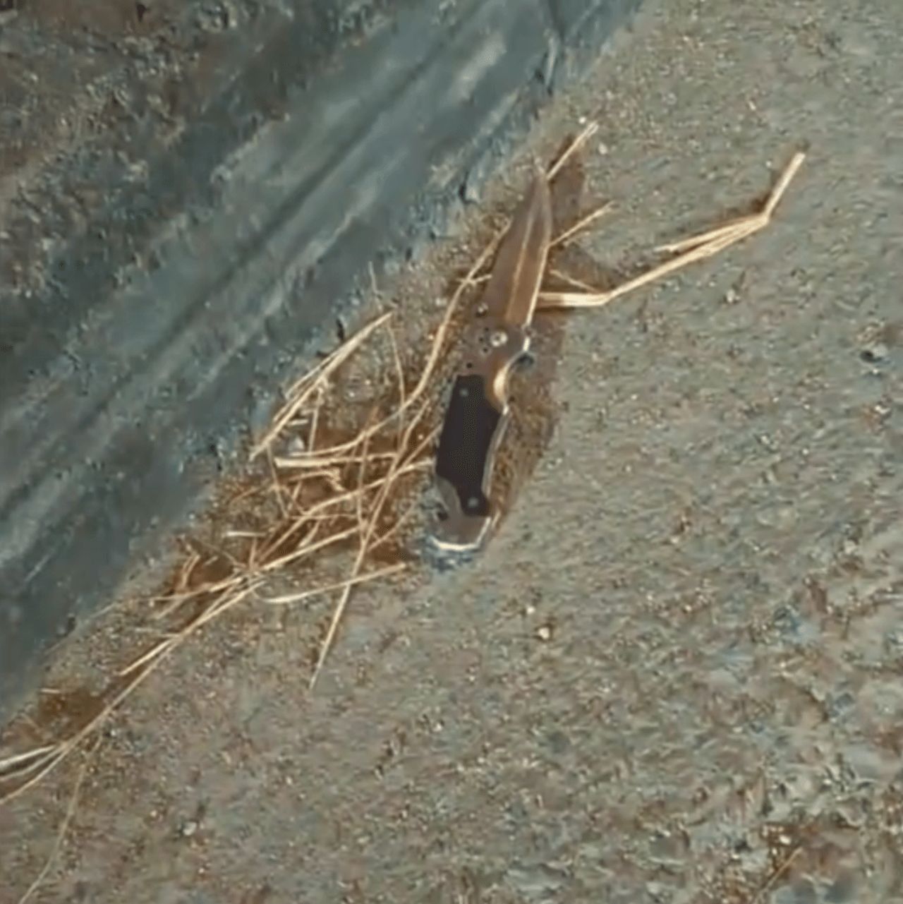 夜店保安被刺20刀身亡，警方关注旧有矛盾