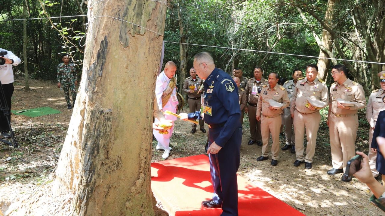 香檀木的首次祭祀仪式在龟武里国家公园举行，以制作皇家灵车和香木棺