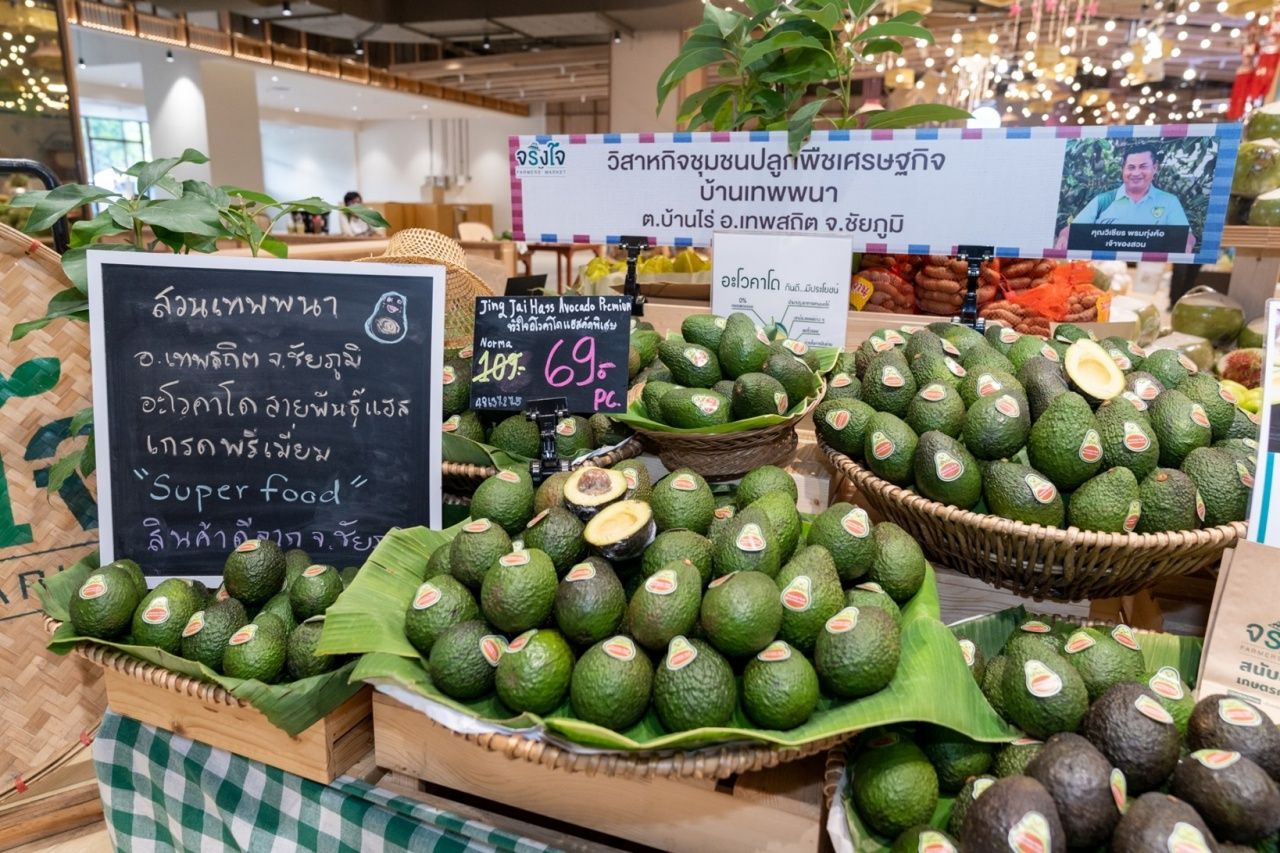 中央集团推动本地智慧标识 提升基础经济实现可持续增长