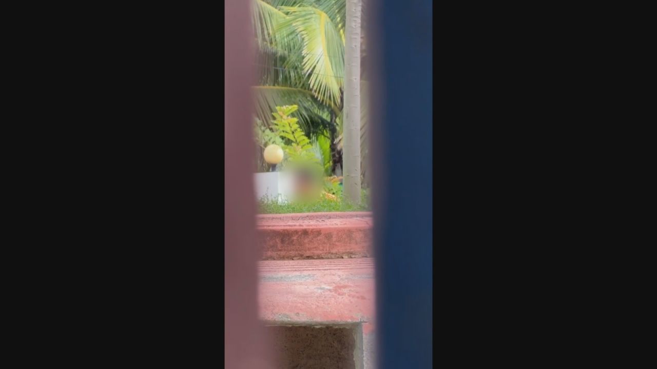 担忧安全 精神病患者闯入学校 骚扰辱骂并追赶学生