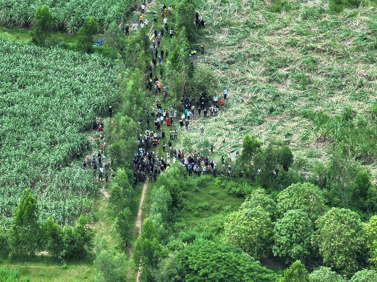 บ้านหนองจาน再次混乱，柬埔寨动员村民封路挑衅“泰国军队”