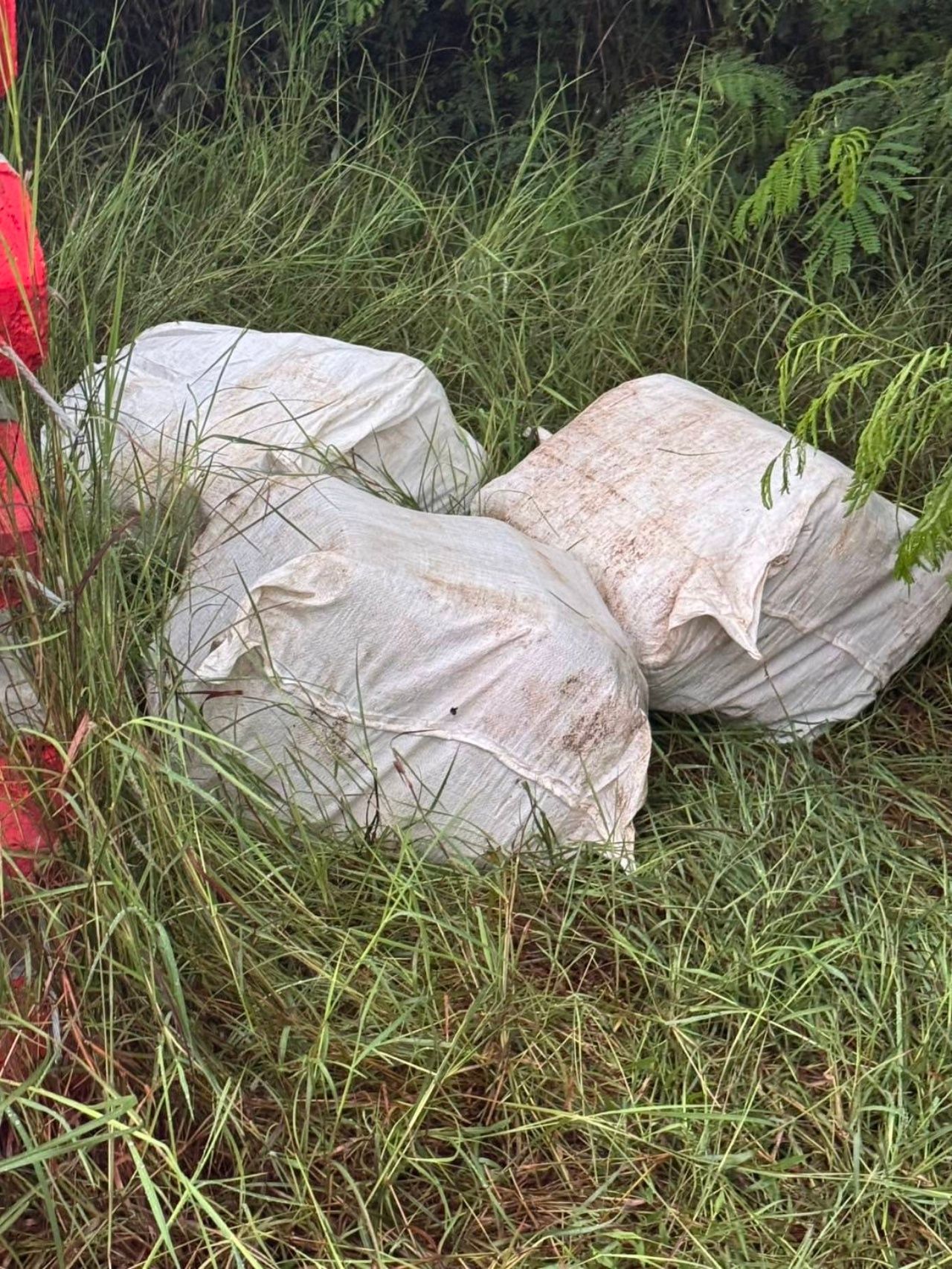 摧毁毒品网络，缴获120万颗大批量毒品，零售价值超6000万