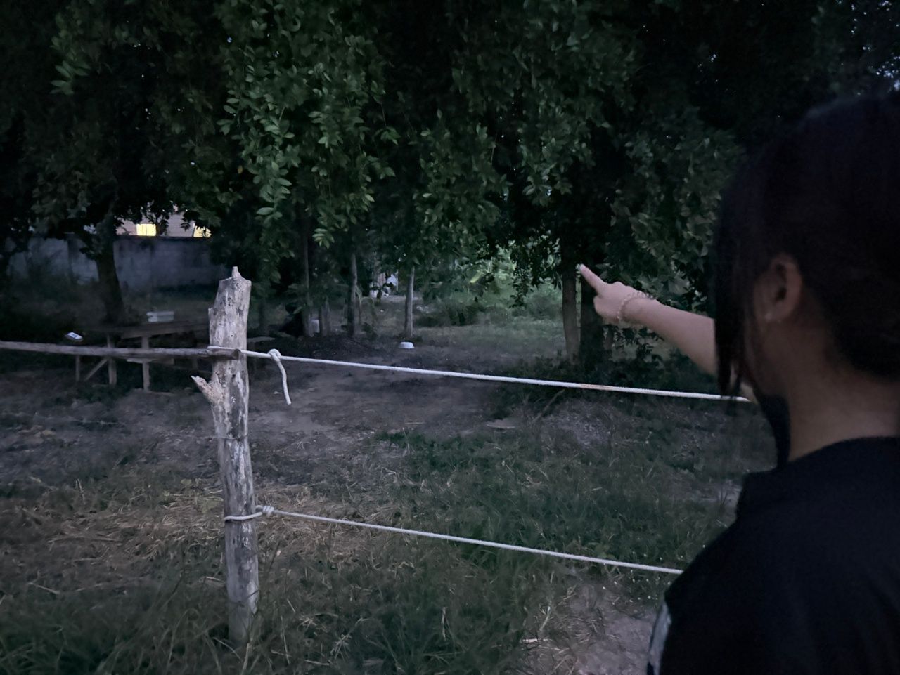 追捕假警冒充者诱骗14岁女孩进树林 幸运逃生