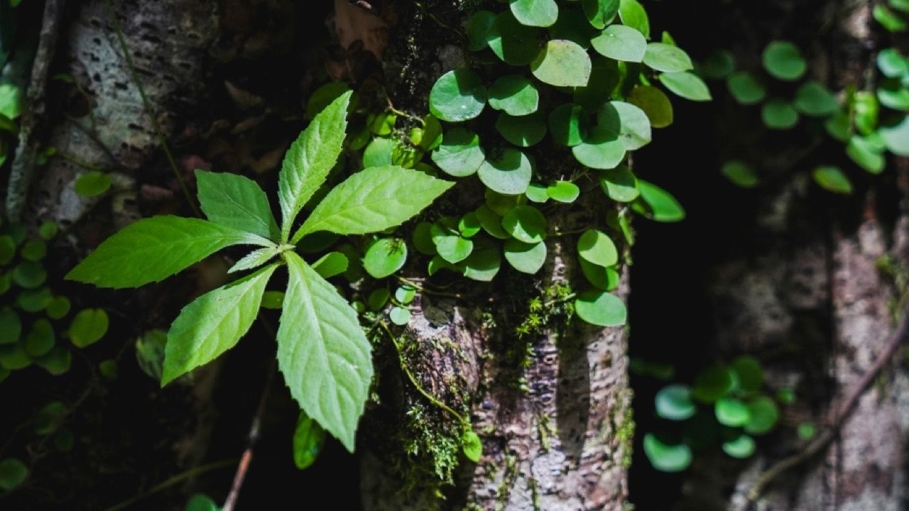 收集新的时刻，标记南方旅行者不得错过的5个省的旅游景点
