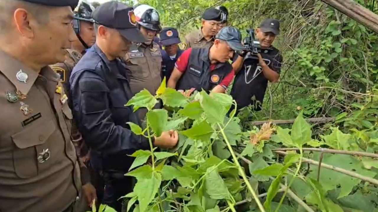 已被逮捕的“索伊朱”罪犯，逃狱藏匿于灌木中，称想念孩子