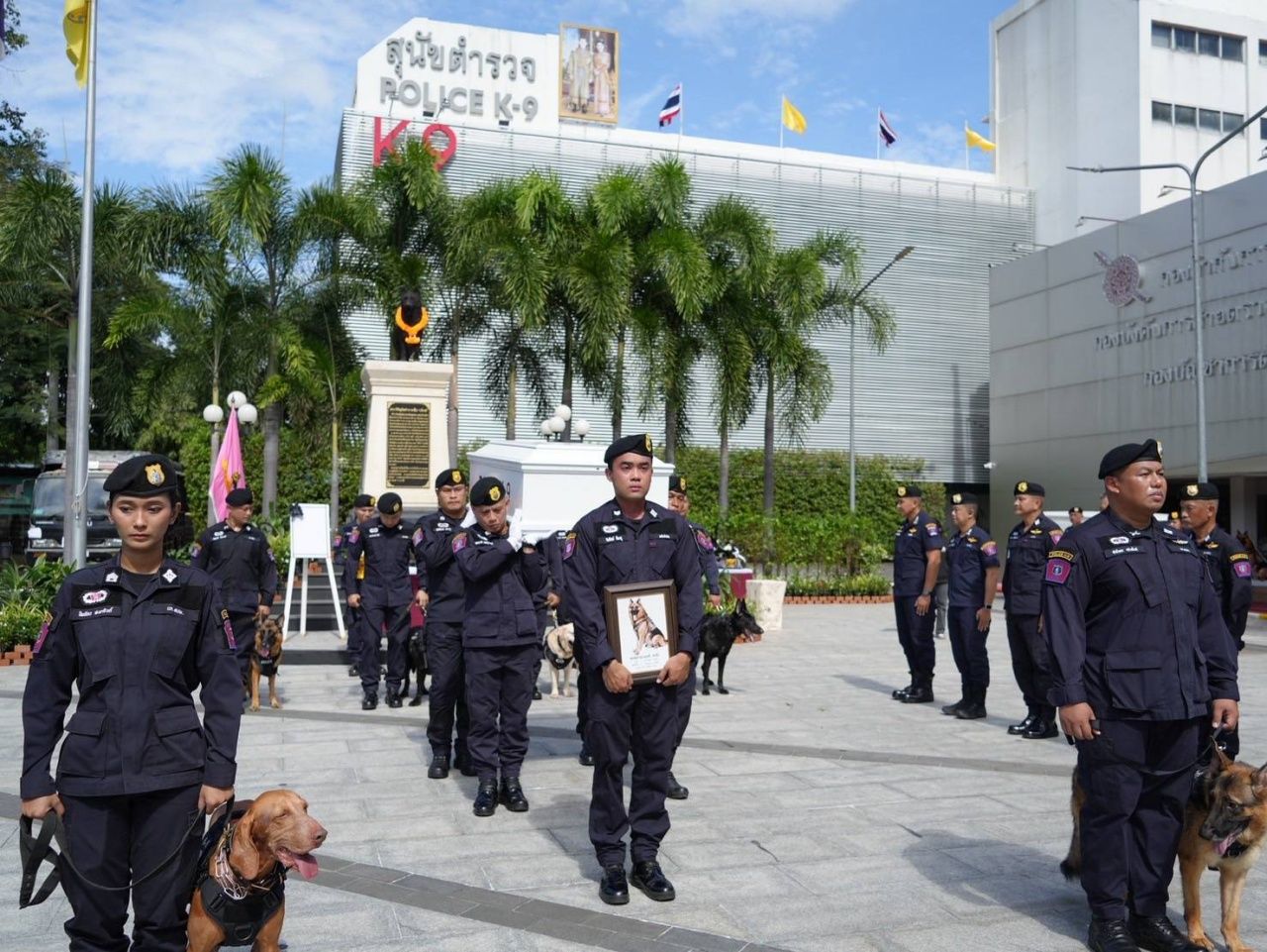 泰国警犬佐博的葬礼，粉丝与官员齐聚悼念
