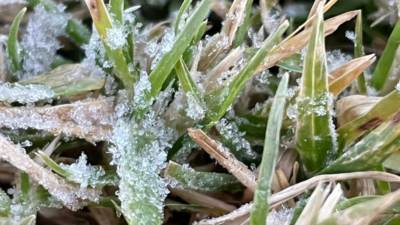 今晨非常寒冷 “茵他侬山” 温度2度 “霜降”连续出现6天