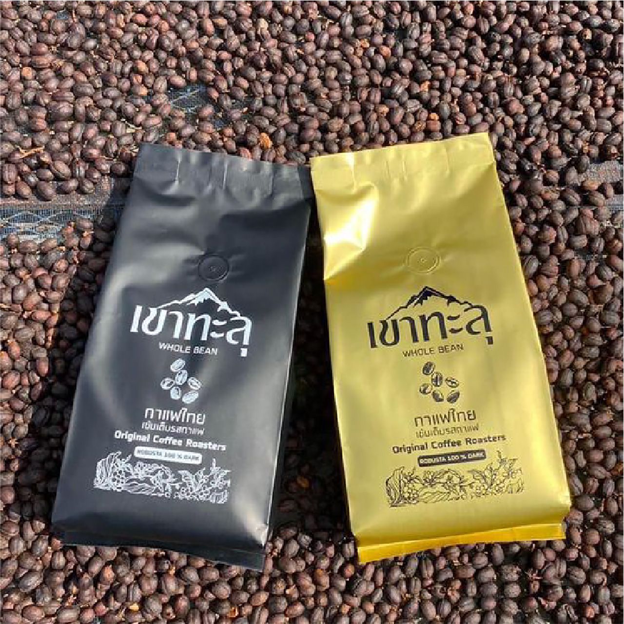 泰国知识产权局公开“泰国 GI 咖啡”销售额,2568 年突破 14.9 亿