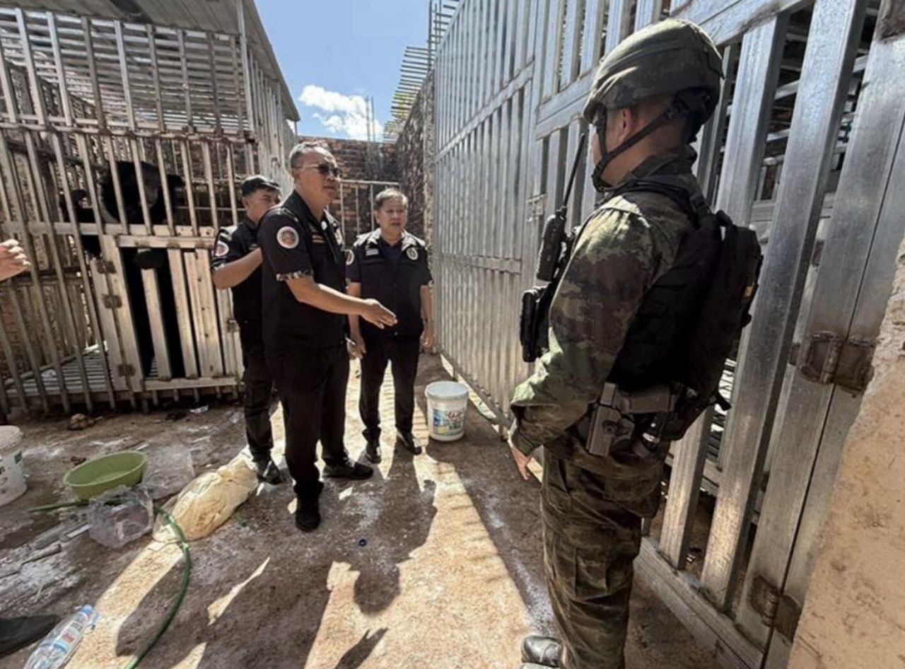 “Trat 海军陆战队” 控制赌场区域发现狮子与黑熊被困笼中